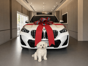 年老白色狗狗坐在白色BMW X1 sDrive18i M Sport車頭前